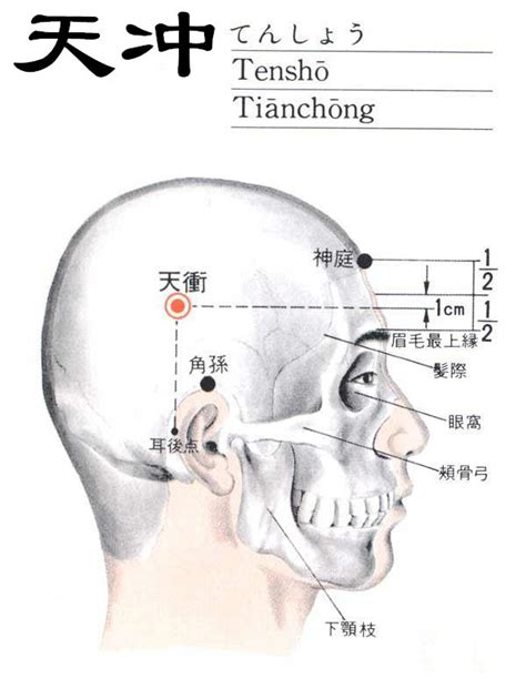 沖門|沖門:名稱釋義,功能作用,治法,定位,解剖,主治,操作,臨床運用,配伍,。